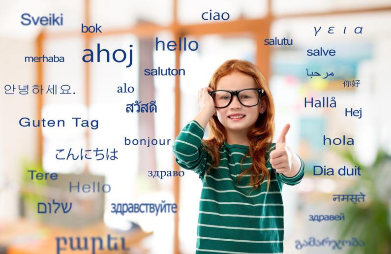 plurilinguismo multilinguismo diferencas (1)