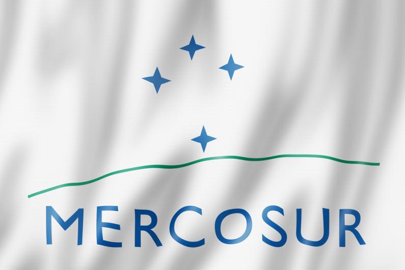 traducao mercosul